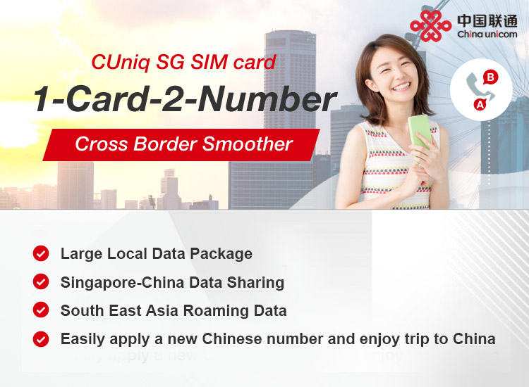 One SIM Dual number